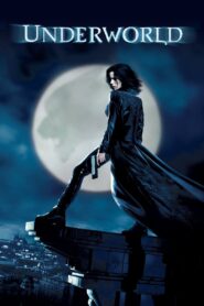 Underworld 2003 on netflix