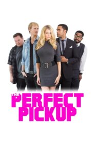 The Perfect Pickup 2018 on netflix