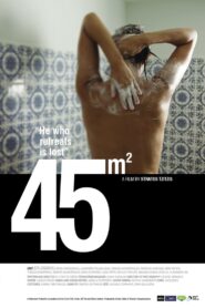 45m² 2011 on netflix