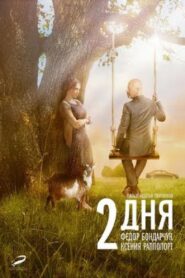 Two Days 2011 on netflix