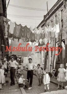 Mosholu Parkway 2019 on netflix