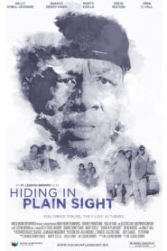 Hiding in Plain Sight 2012 on netflix
