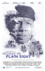 Hiding in Plain Sight 2012 on netflix