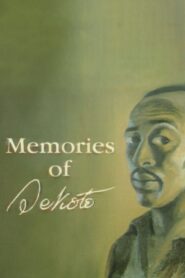 Memories of Sekoto 1993 on netflix