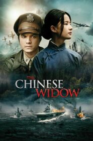 The Chinese Widow 2017 on netflix