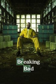 Breaking Bad 2008 on netflix