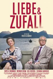 Liebe und Zufall 2014 on netflix