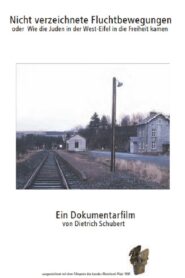 Nicht verzeichnete Fluchtbewegungen 1990 on netflix