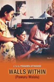 Walls Within 1997 on netflix