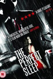 The Perfect Sleep 2009 on netflix