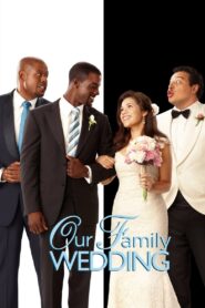 Our Family Wedding 2010 on netflix