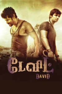 David 2013 on netflix