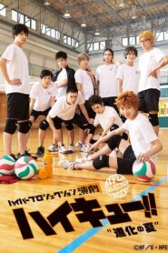 Hyper Projection Play “Haikyuu!!” The Summer of Evolution 2018 on netflix
