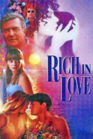 Rich in Love 1992 on netflix