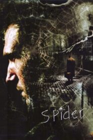 Spider 2002 on netflix