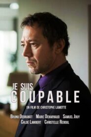 Je suis coupable 2017 on netflix