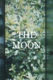 The Moon 1994 on netflix