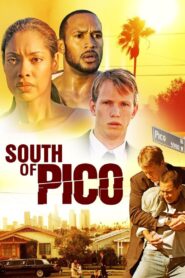 South Of Pico 2007 on netflix
