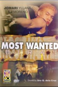 Most Wanted 2000 on netflix