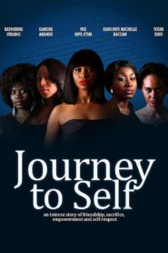 Journey to Self 2013 on netflix