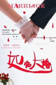 如临大婚 2013 on netflix