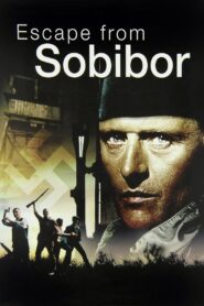 Escape from Sobibor 1987 on netflix