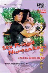 Sex Friend Nurezakari 1999 on netflix