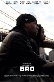 Bro 2014 on netflix