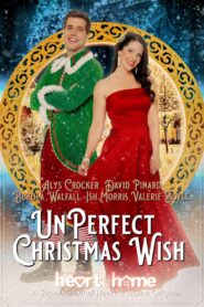 UnPerfect Christmas Wish 2021 on netflix