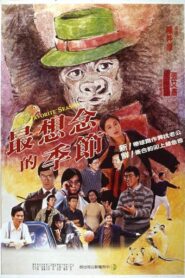 My Favorite Season 1985 on netflix