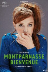 Jeune Femme 2017 on netflix