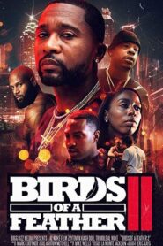 Birds of a Feather 2 2018 on netflix