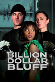 Billion Dollar Bluff 2024 on netflix