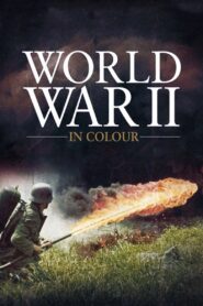 World War II in Colour 2009 on netflix