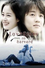 Love Story in Harvard 2004 on netflix