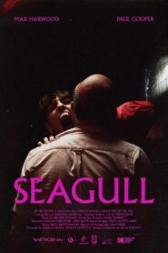 Seagull 2022 on netflix