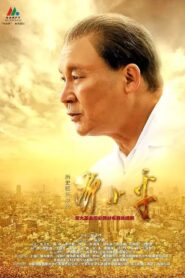 Deng Xiaoping at History’s Crossroads 2014 on netflix