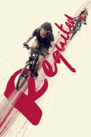 Requited 2017 on netflix