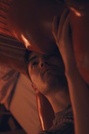 David 2018 on netflix