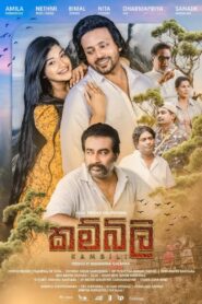 Kambili 2024 on netflix