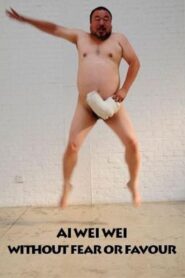 Ai Weiwei: Without Fear or Favour 2010 on netflix