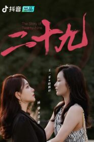二十九 2023 on netflix