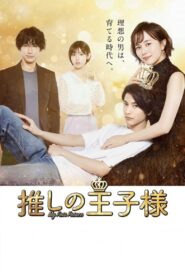 My Fair Prince 2021 on netflix