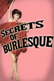 Secrets Of Burlesque 2014 on netflix