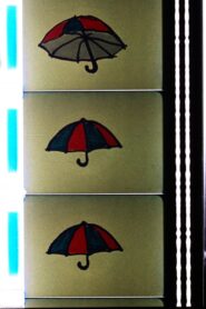 Horse Over Tea Kettle Online In Netflix