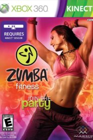 The Ultimate Zumba Fitness Experience 2011 one on netflix