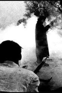 The Shadow Century Online In Netflix