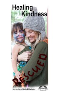 Healing Kindness Online In Netflix