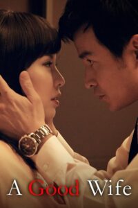 A Good Wife 2013 one on netflix