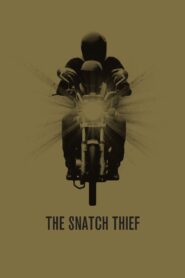 The Snatch Thief Online In Netflix